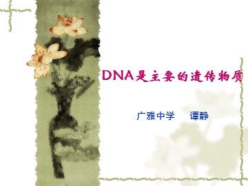 生物高中必修2第三章第一节课件9