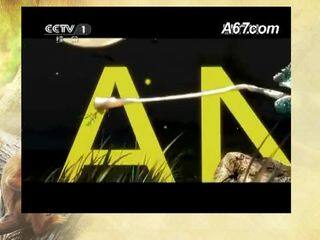 Unit 2 The tiger lives in Asia.