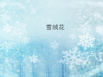 《雪绒花》_课件1