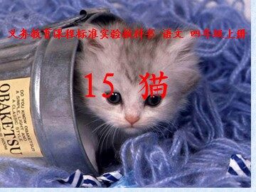 15 猫