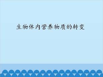 生物体内营养物质的转变_课件1