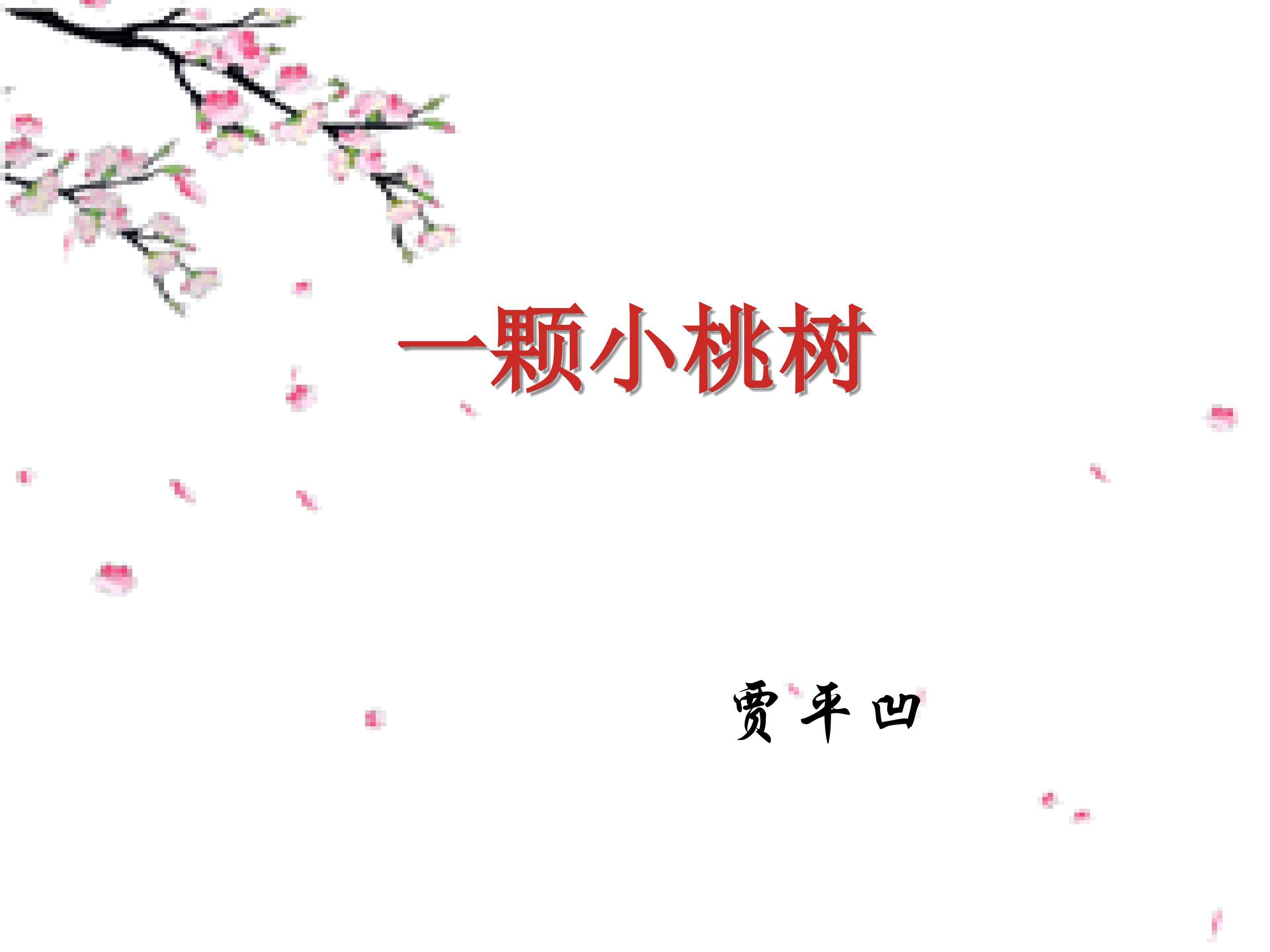 一颗小桃树
