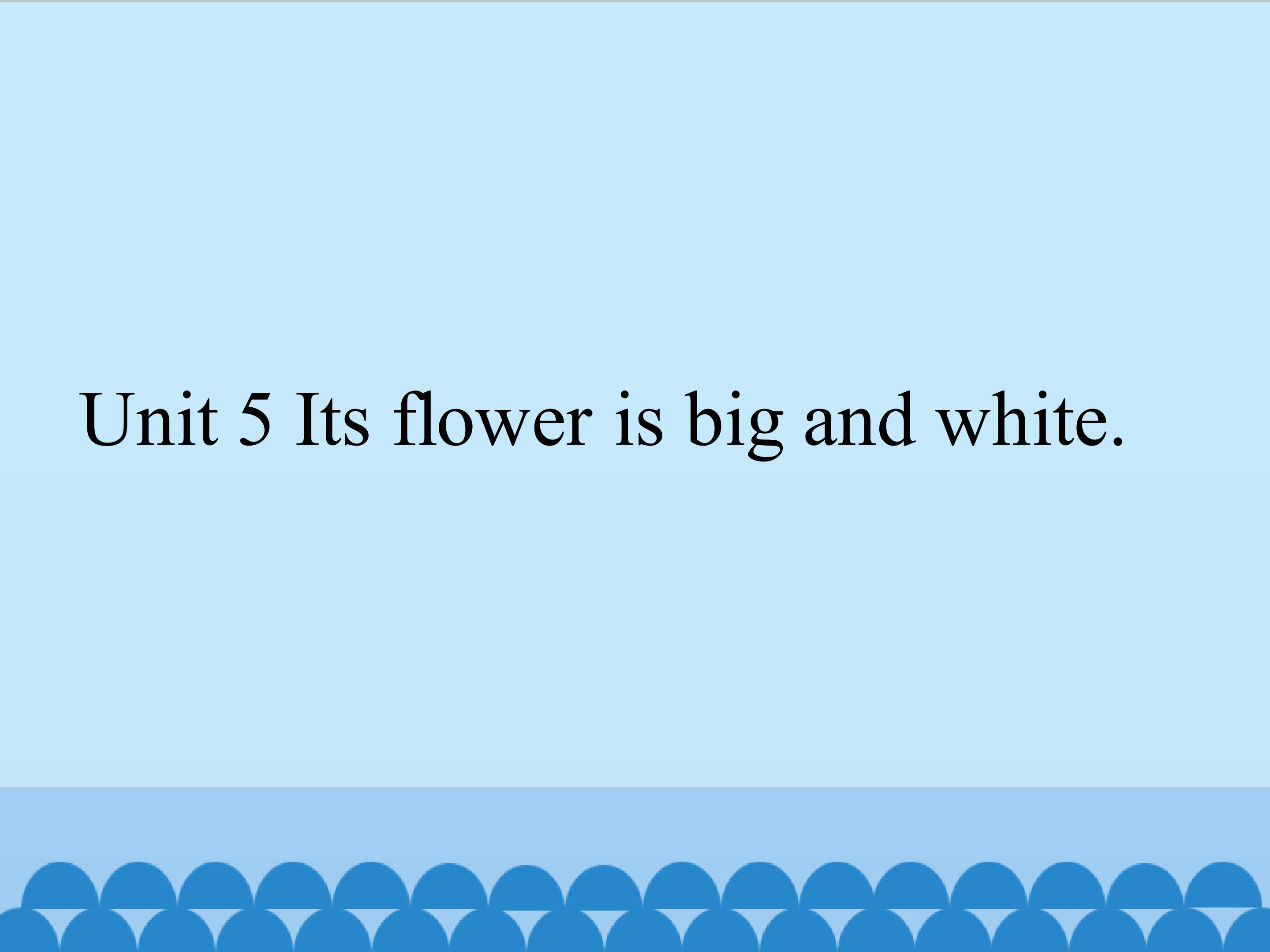 Its flower is big and white_课件1