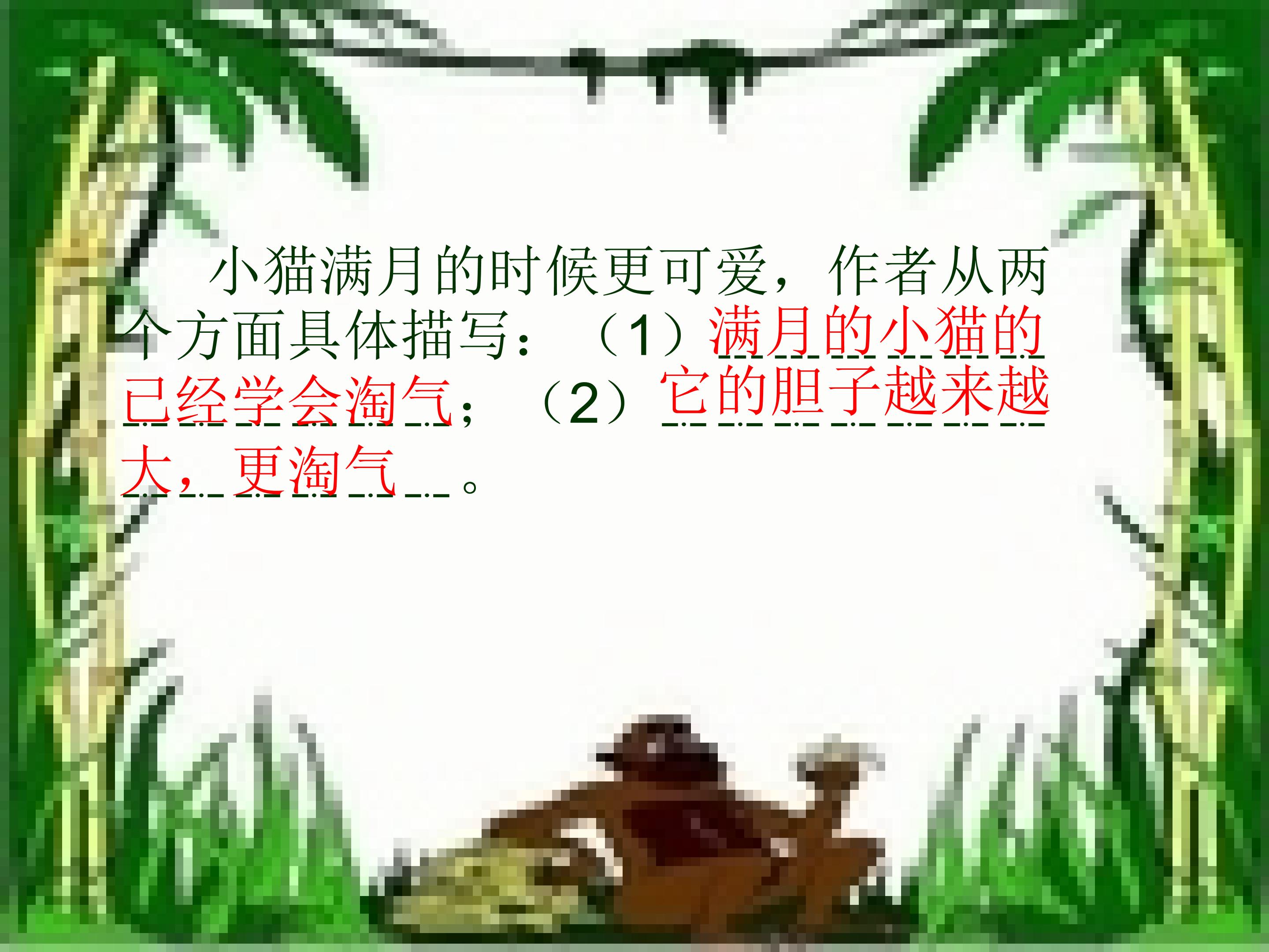 23.jpg