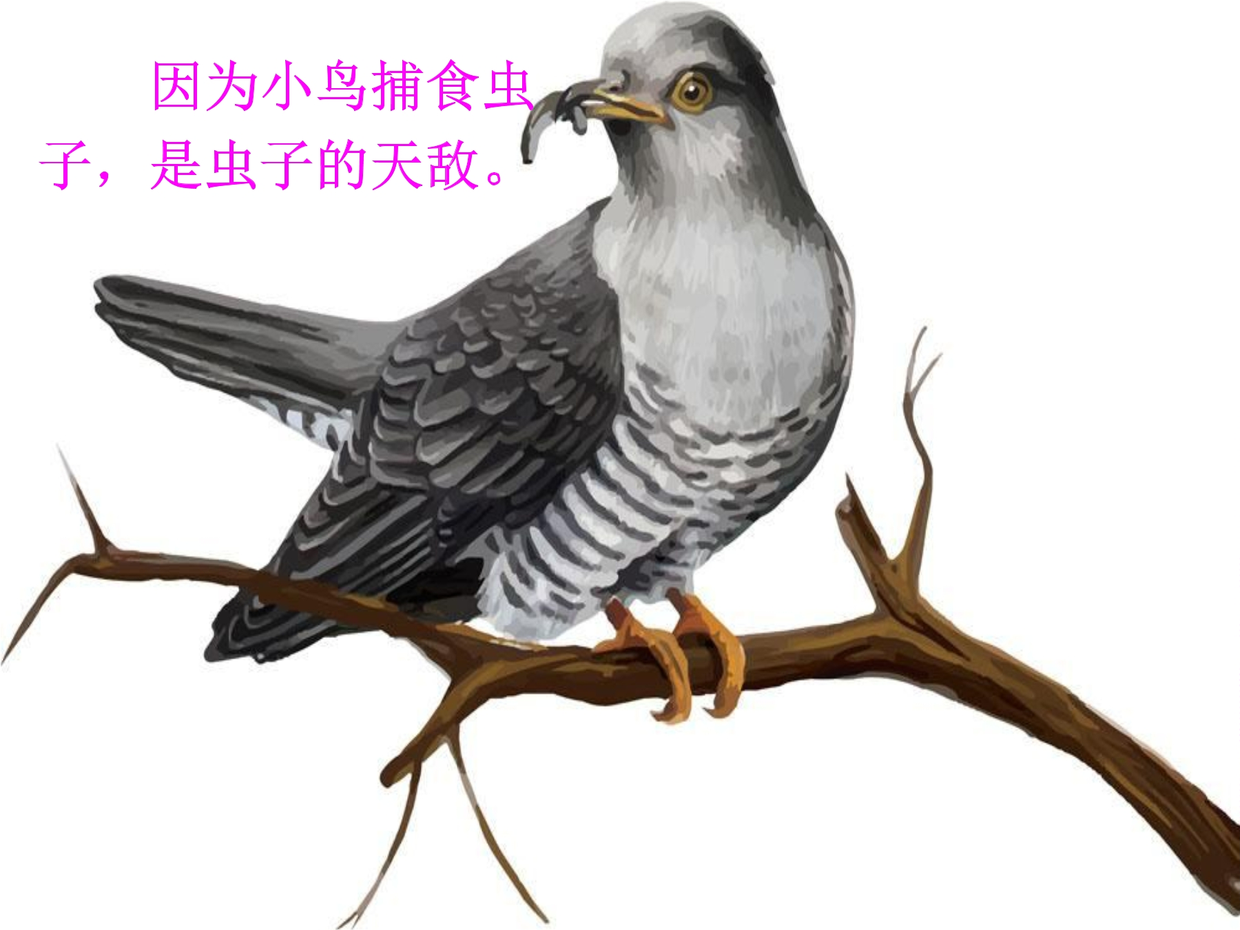 23.jpg