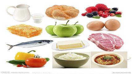 【课件设计】食物到哪里去了_科学_小学_张涛