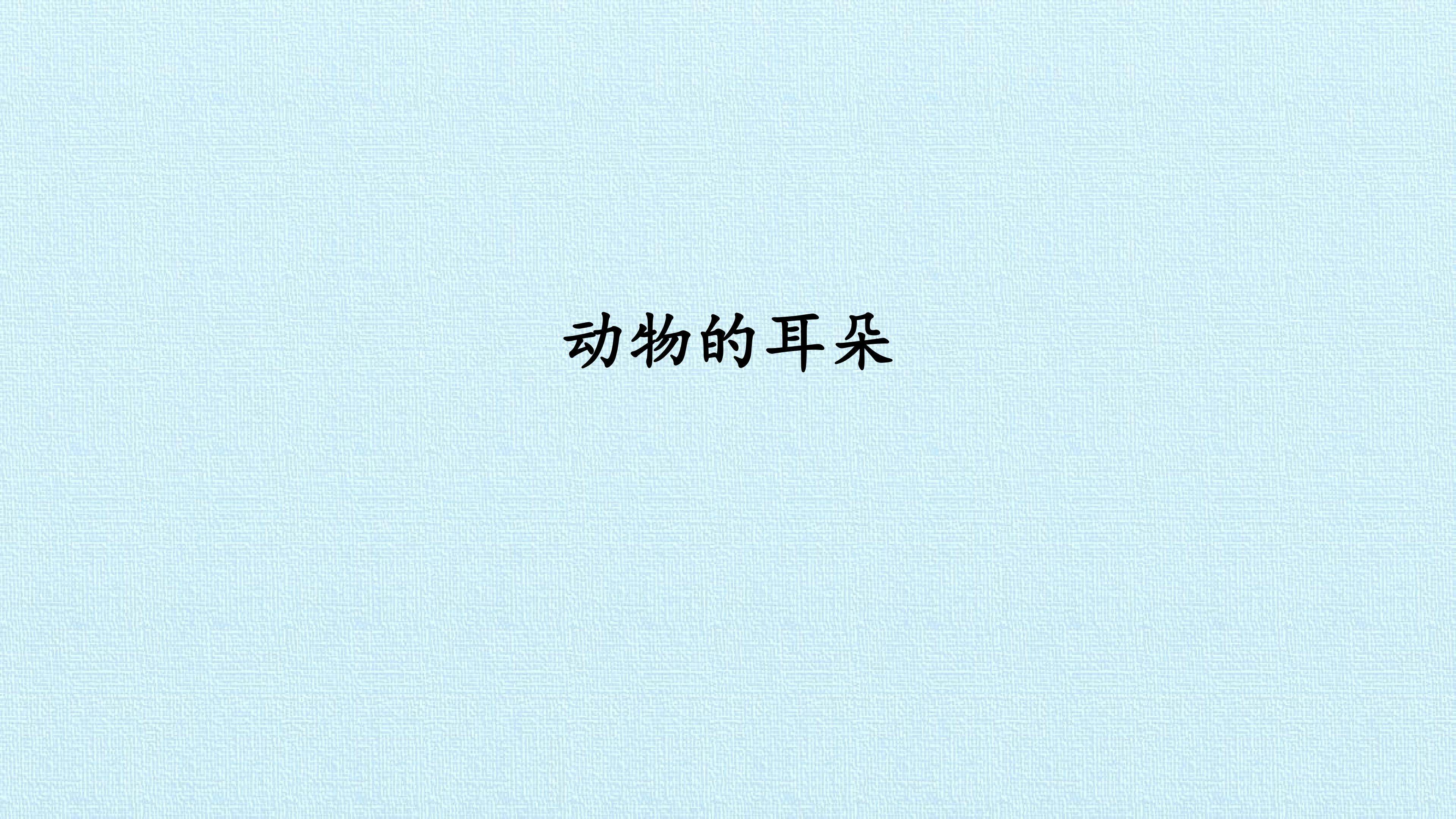 动物的耳朵