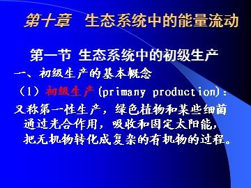 生物高中必修3第五章第二节课件12