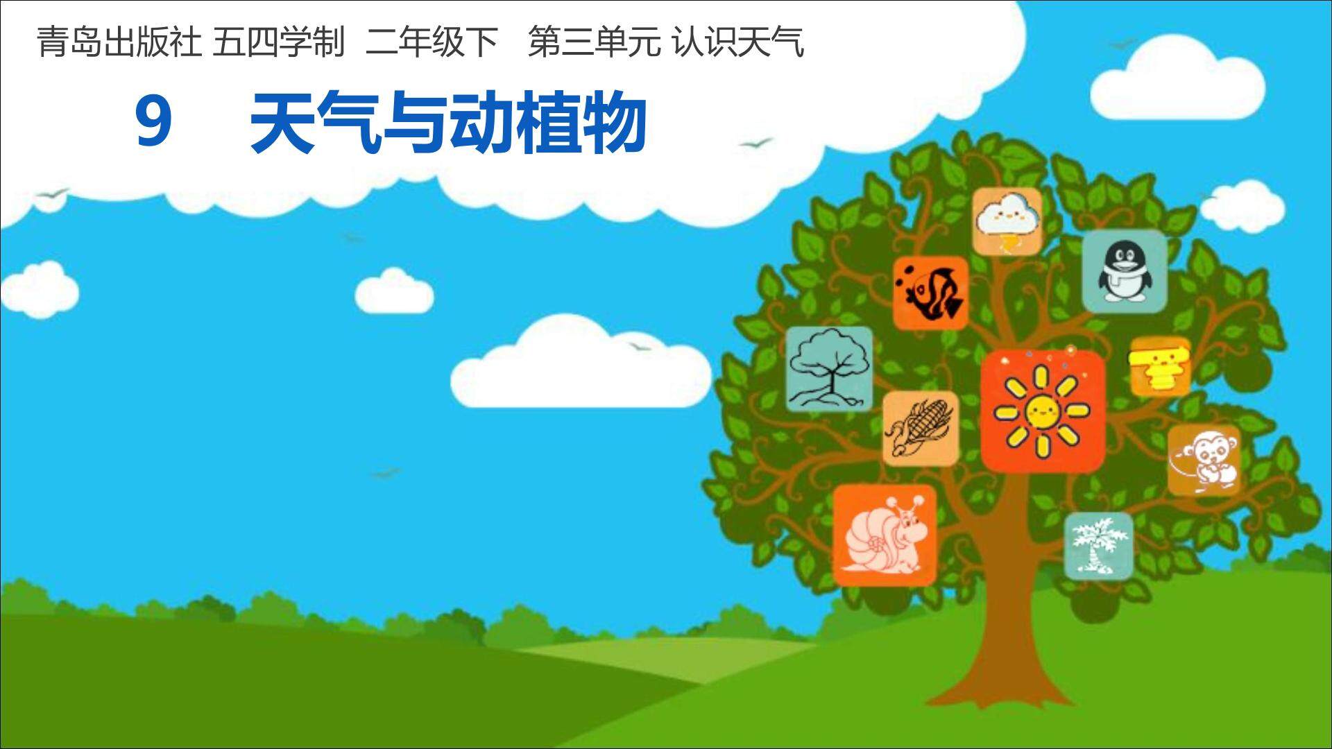 天气与动植物PPT