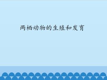 两栖动物的生殖和发育_课件1