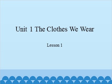 Unit 1  The Clothes We Wear Lesson 1_课件1