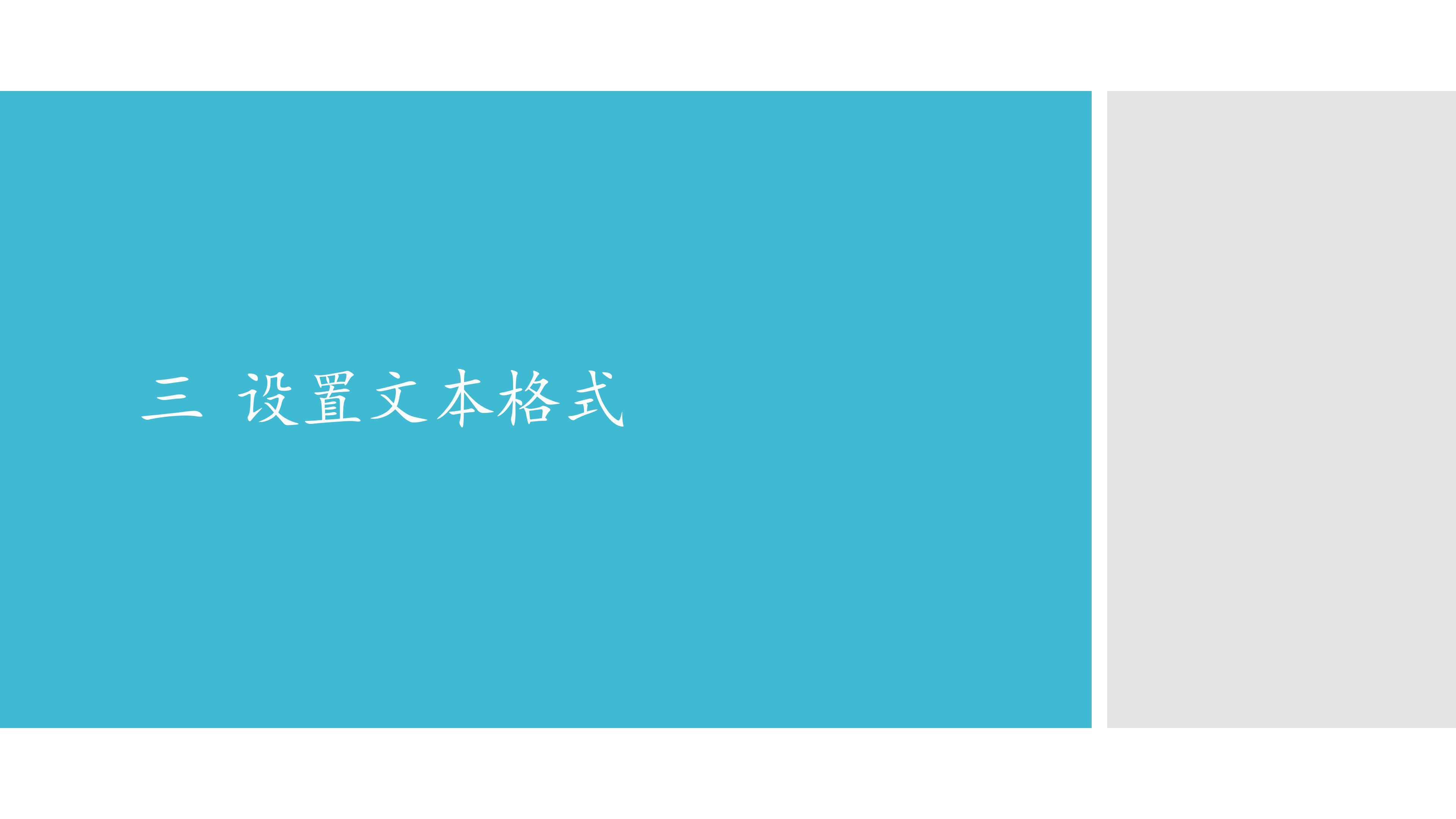 三  设置文本格式