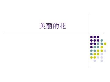 美丽的花_课件1