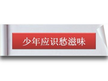 少年应识愁滋味_课件1