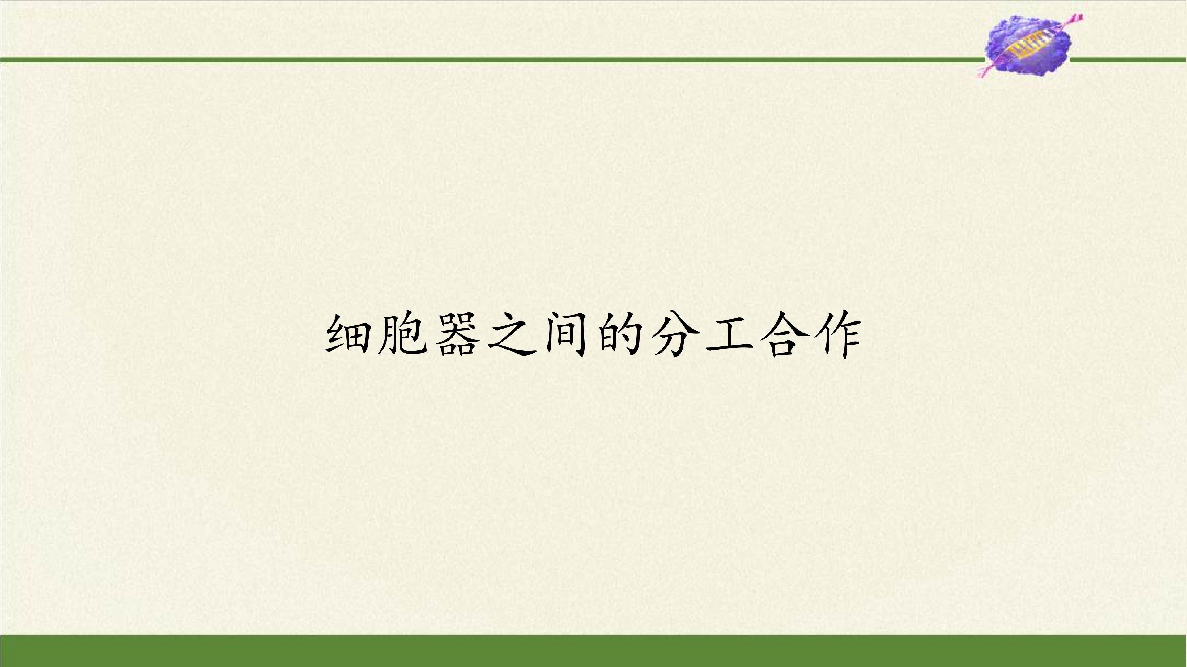 细胞器之间的分工合作