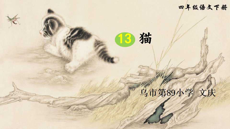 猫