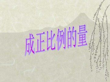 《正比例》课件2