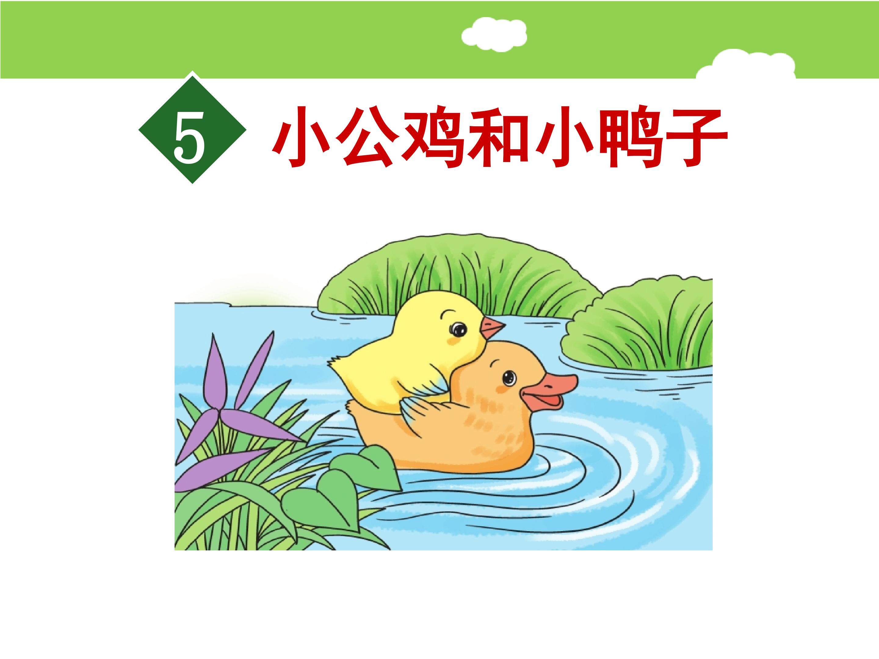 小公鸡和小鸭子