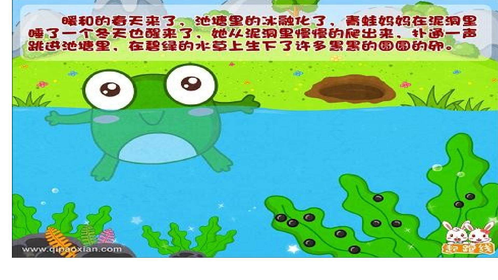 1  小蝌蚪找妈妈