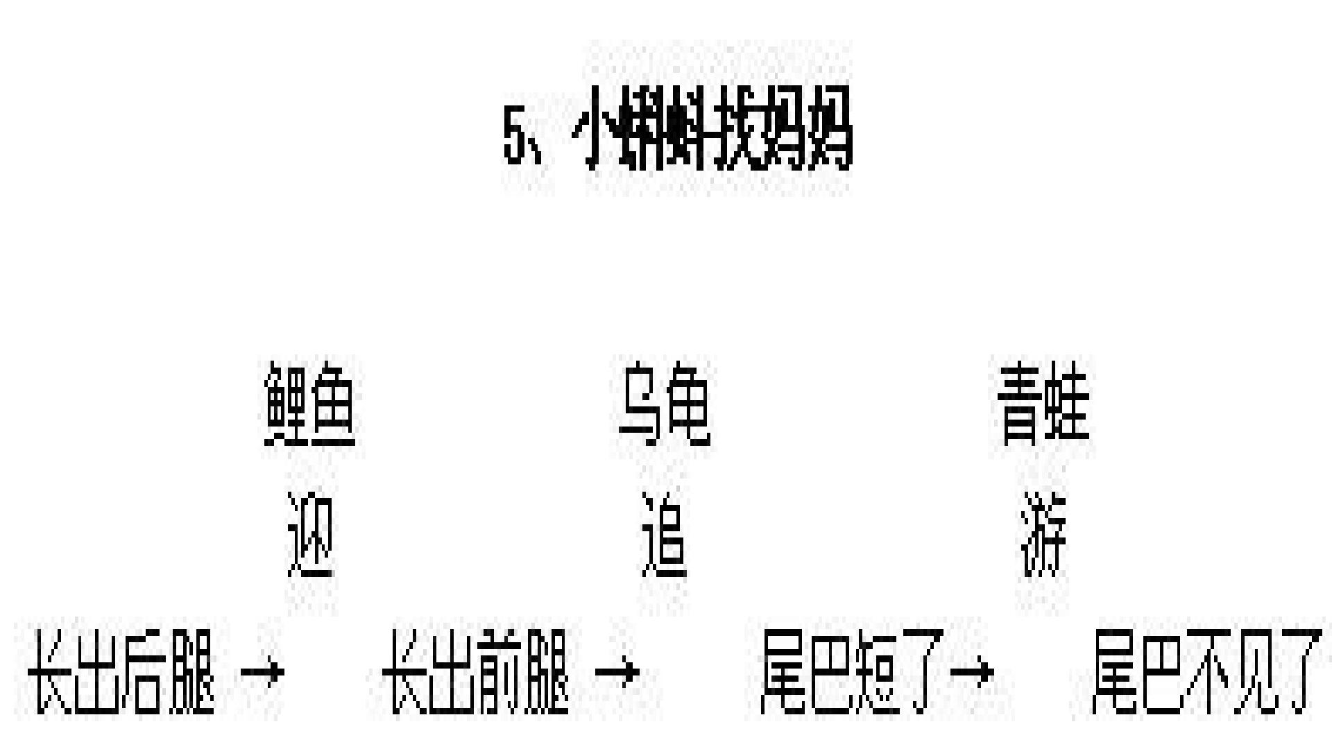 26.jpg