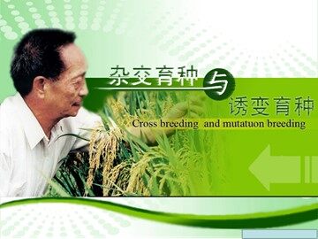 与生物学有关的职业  育种工作者