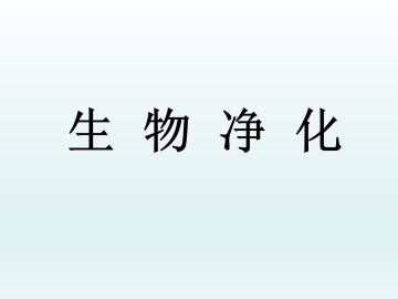 生物净化_课件1