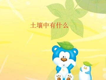 土壤中有什么_课件1