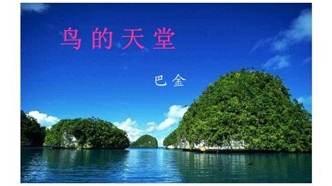 3  鸟的天堂