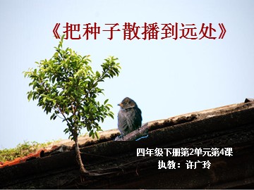 《把种子撒播到远处》课件参考1