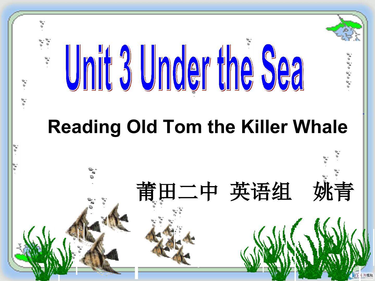 选修七Unit3 Under the Sea（莆田二中 英语组 姚青）