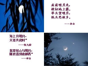 27 短文两篇