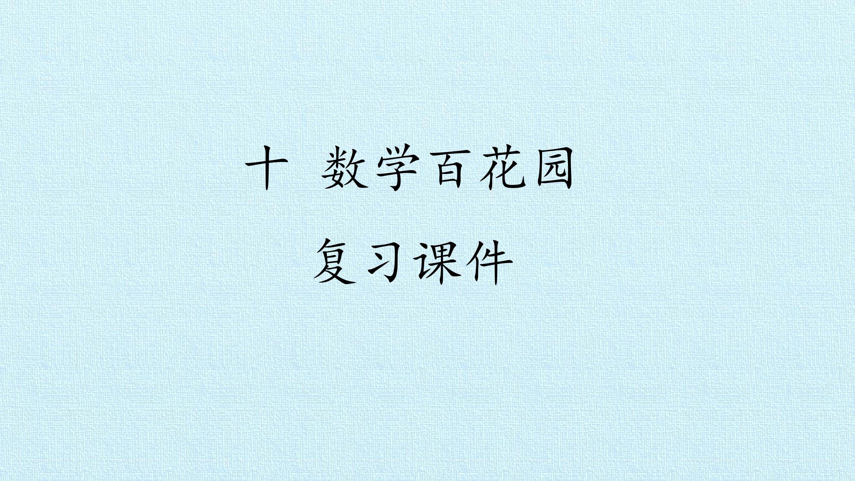 十  数学百花园 复习课件