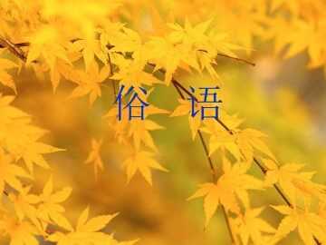 俗语_课件1