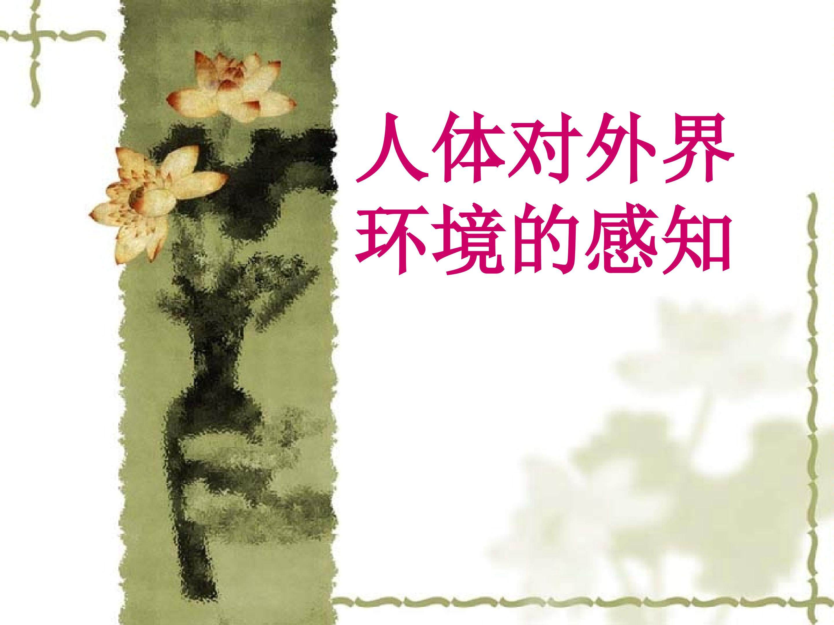 人体对外界环境的感知_课件1