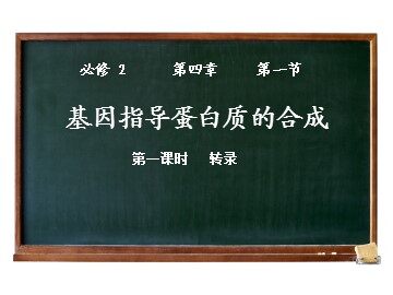 第1节  基因指导蛋白质的合成