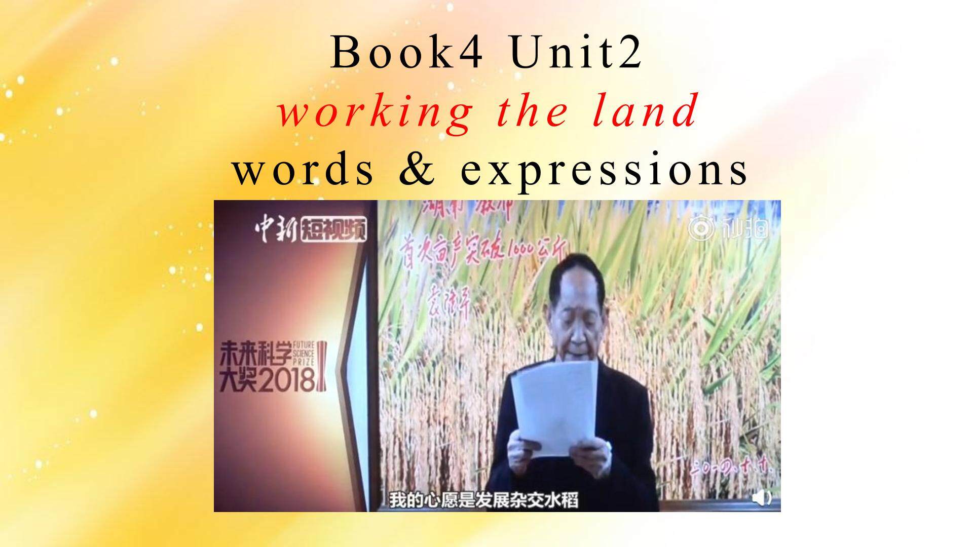 必修四第2单元词汇教学