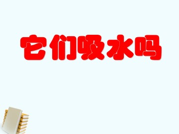 它们吸水吗_课件1