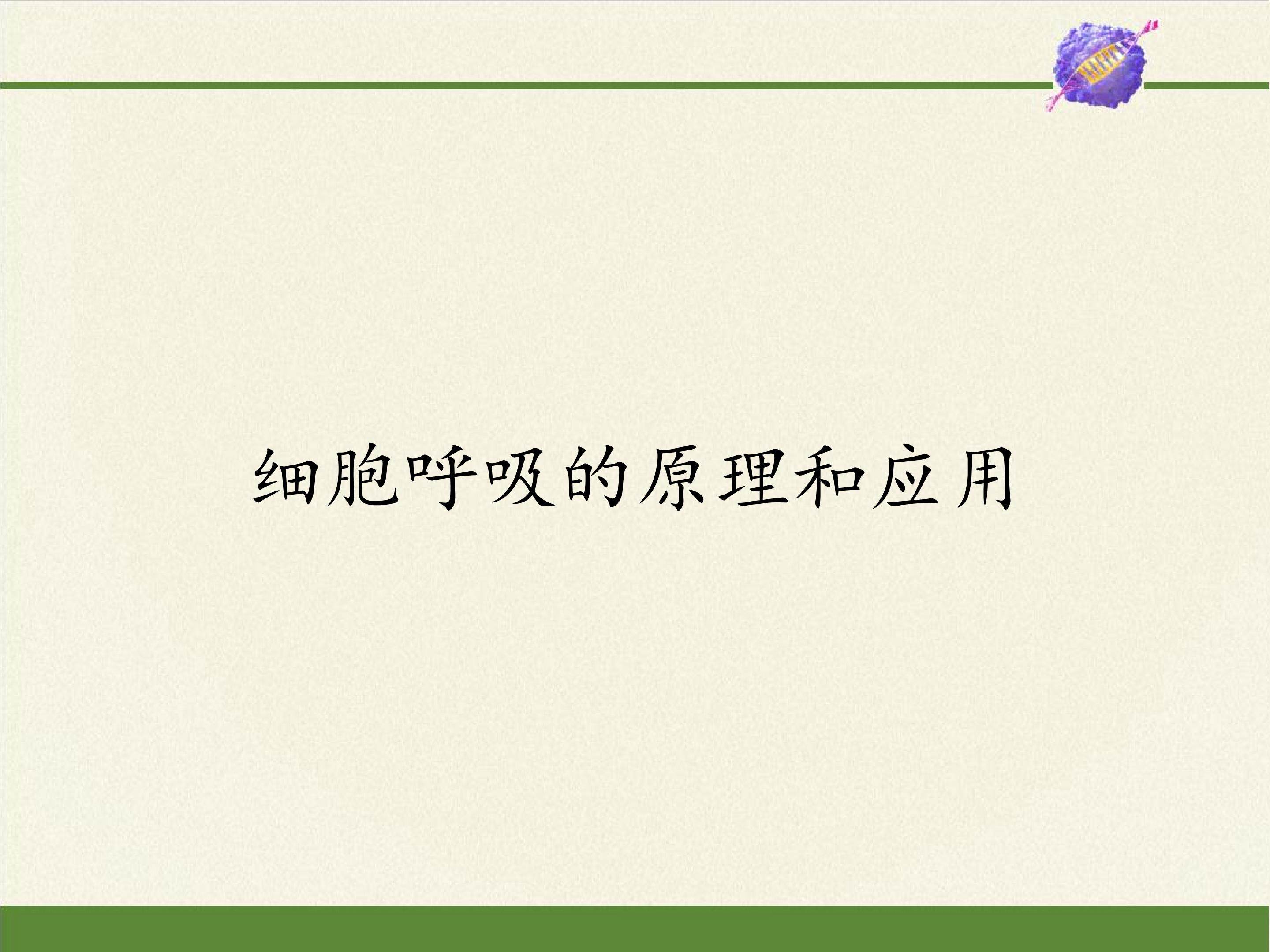 细胞呼吸的原理和应用