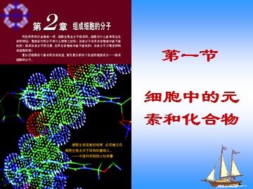 第1节  细胞中的元素和化合物