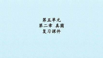 第五单元第二章 真菌 复习课件