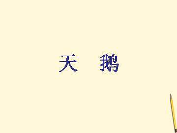 天鹅_课件1