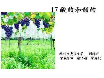 酸的和甜的课件薛梅萍