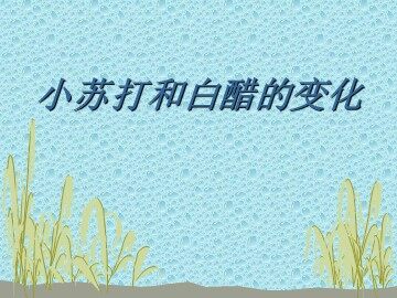 4.小苏打和白醋的变化