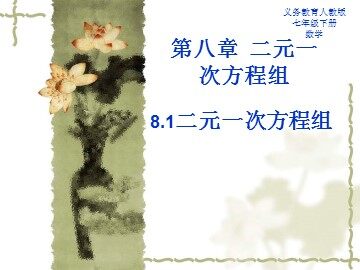 8.1 二元一次方程组
