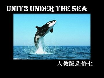 Unit 3 Under the sea