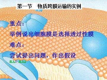 生物高中必修1第4章第1节第1课时的课件