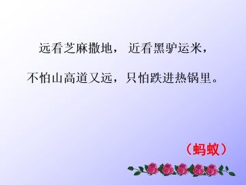 蚂蚁_课件1