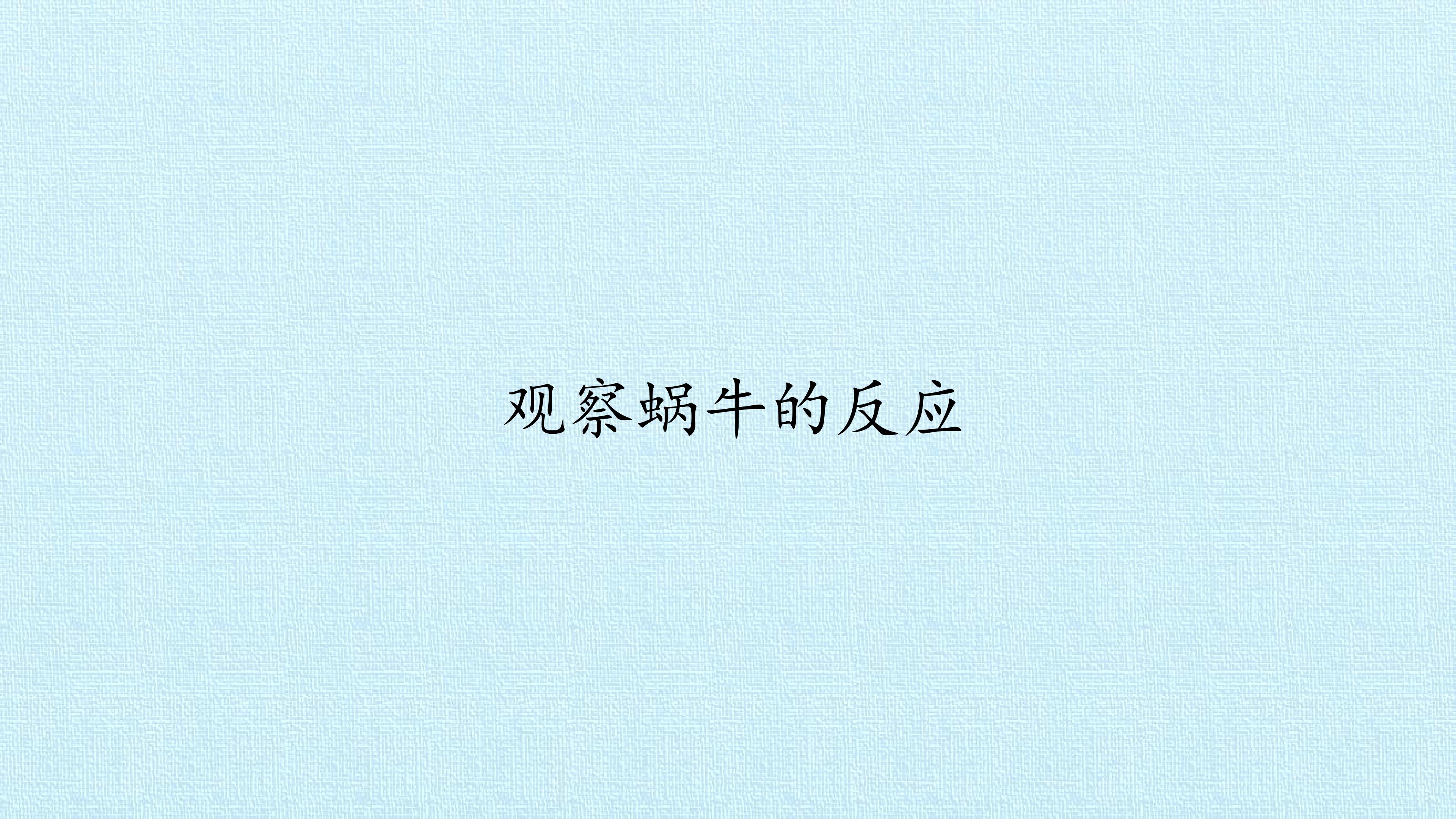 观察蜗牛的反应_课件1