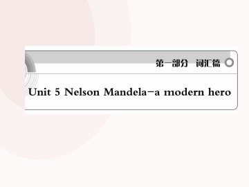 Nelson Mandela - a modern hero_课件17