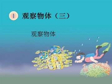 《观察物体（三）》课件2